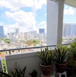 Blk 49 Farrer Park Gardens (Kallang/Whampoa), HDB 4 Rooms #471923911